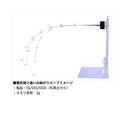 ダイワ ワカサギ穂先 クリスティ ア ワカサギ 55