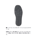 ダイワ SW-4503R-T（フェルトスパイクソール） ソルトウェーダー DAIWA