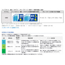 ダイワ クーラーボックス クールラインα ライトソルト SU 1000X LS DAIWA 取寄せ