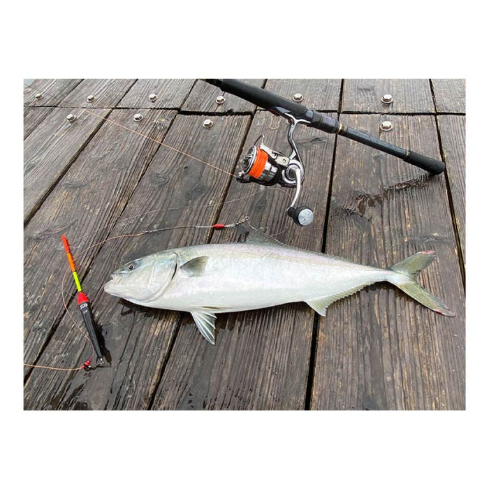 ダイワ ウキ 海上釣堀 海上釣堀ウキ セット 棒ウキ DAIWA - 釣具通販