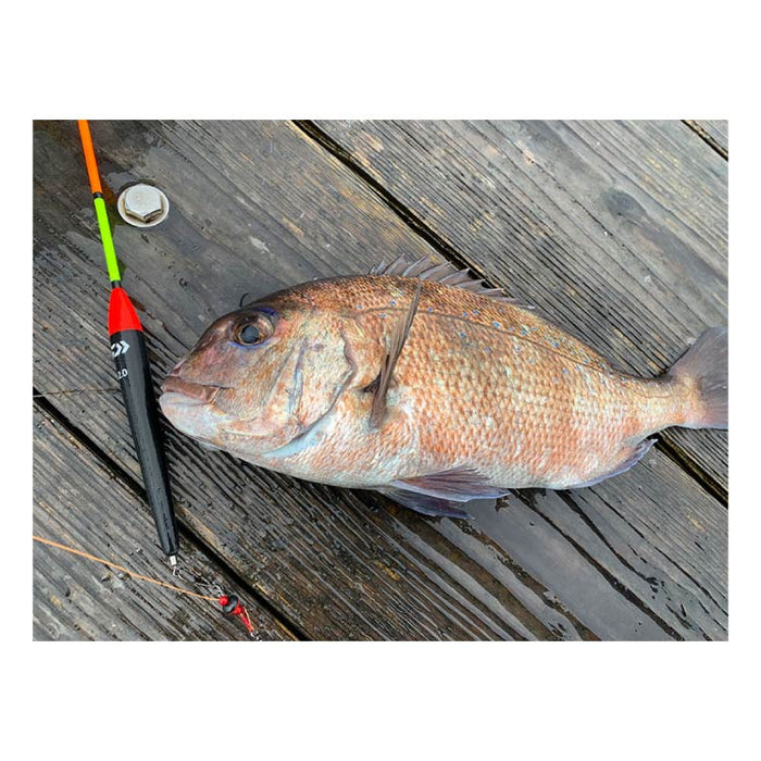 ダイワ ウキ 海上釣堀 海上釣堀ウキ セット 棒ウキ DAIWA - 釣具通販