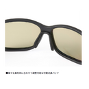 ダイワ 偏光グラス TLX 025 ミラータイプ DAIWA