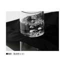 ダイワ 防寒パンツ DP-8125 STORMFLEECE ウィンドブロックパンツ ブラック レディース DAIWA