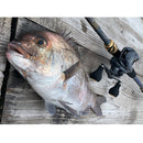 ダイワ クラブブルーキャビンメタルチューン さぐりづり 海上釣堀竿 DAIWA