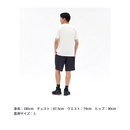ダイワ パンツ DP-5126 Pertex ライトショートパンツ DAIWA