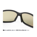 ダイワ 偏光グラス TLX 025 DAIWA