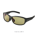 ダイワ 偏光グラス TLX 025 DAIWA