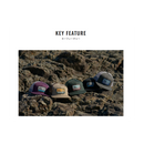 シマノ 帽子 CA-067Y グラフィック フラットメッシュキャップ SHIMANO