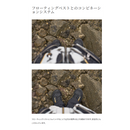 シマノ レインウェア RA-101X ネクサス ゴアテックス レインスーツ グレー SHIMANO