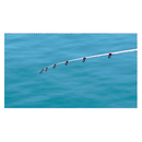 シマノ 海上釣堀竿 シーマーク ベイトサグリ250 SHIMANO