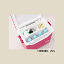 ダイワ クーラーボックス ミニクール S650 汎用クーラー 小型 DAIWA 釣り キャンプ アウトドア スポーツ 旅行 取寄