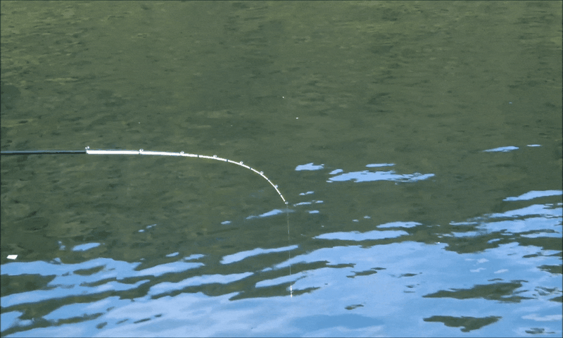 大郷屋 オリジナル海上釣堀穂先 オール傾斜ガイドバージョン