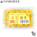 浜市 エサ 海上釣堀 エビ団子 冷凍餌 クール便利用