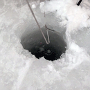 プロックス(PROX)　ワカサギ用品　攻棚ワカサギアンテナマルチアングルST PX939STK