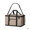 ダイワ(DAIWA)　ソフトクール 4500 キャンプ アウトドア お取り寄せ