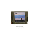 ダイワ シャツ DE-6923 フォトプリントTシャツ レイク アッシュオリーブ DAIWA