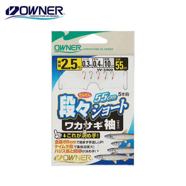 ワカサギセット。 solf-602441.jpg