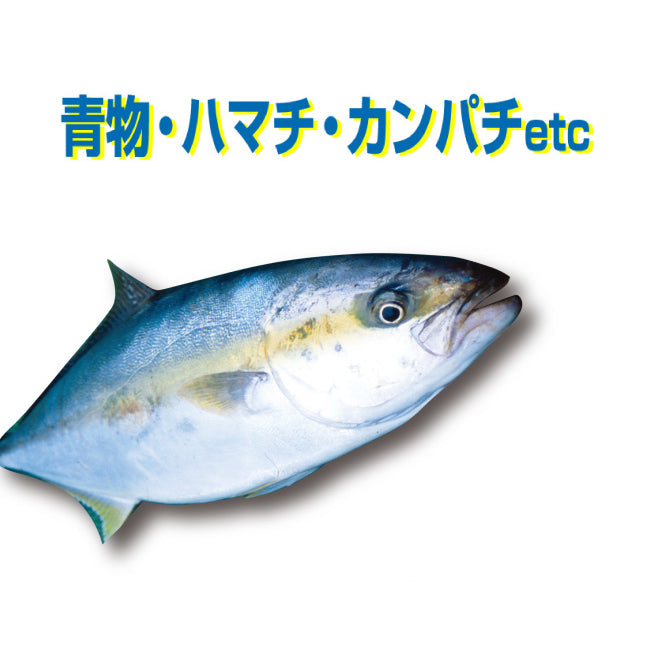 カツイチ(Katsuichi)　海上釣堀仕掛け　海上つり堀 泳がせ専用 KJ-03/クリックポスト発送可能
