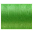 スケルターワークス(SKELETOR WORKS)　ラッピングスレッド ダルスレッド　DL13 若草