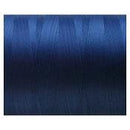 スケルターワークス(SKELETOR WORKS)　ラッピングスレッド ダルスレッド　DL20 青