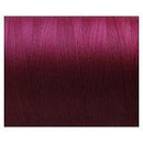 スケルターワークス(SKELETOR WORKS)　ブライトスレッド　BT04 エンジ