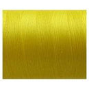 スケルターワークス(SKELETOR WORKS)　ブライトスレッド　BT05 黄