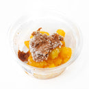 本多商店 エサ 海上釣堀 快釣エサ SS(スイートショット) 冷凍餌 クール便利用