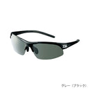 ダイワ(DAIWA)　偏光グラス DN-4022H ポリカーボネイト変色調光偏光グラス (お取り寄せ)