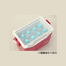 ダイワ クーラーボックス ミニクール S1050 汎用クーラー 小型 10.5L DAIWA 釣り キャンプ アウトドア スポーツ 旅行 お取り寄せ