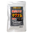 本多商店 エサ 海上釣堀 快釣エサ マグナム 練り餌ハード 冷凍餌 クール便利用